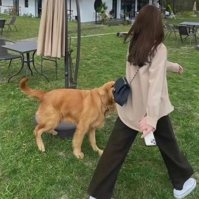 伯纳德与休伊
